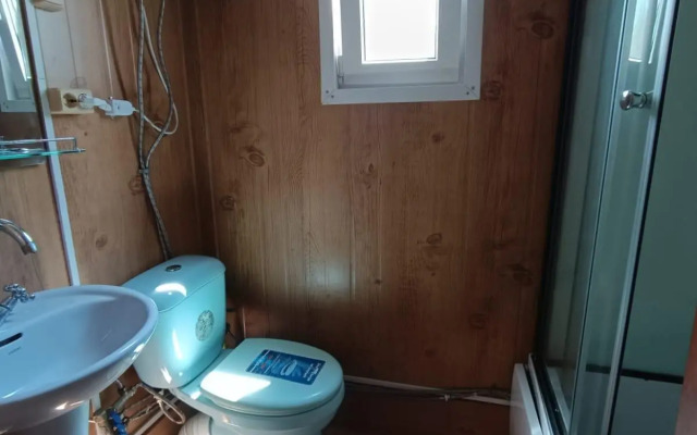 Камень Льва