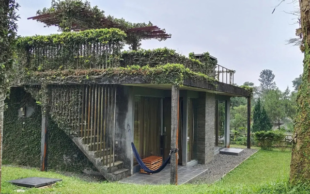 Tea Garden Resort