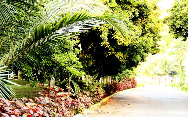 VGP Golden Beach Resort