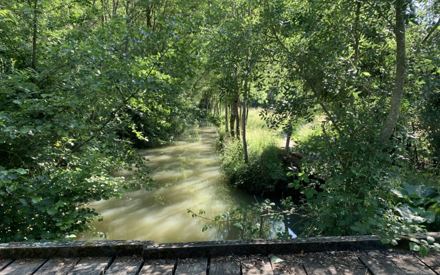 Le Clos de la Court d Aron