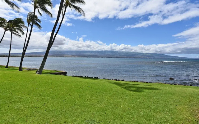 Lauloa 105