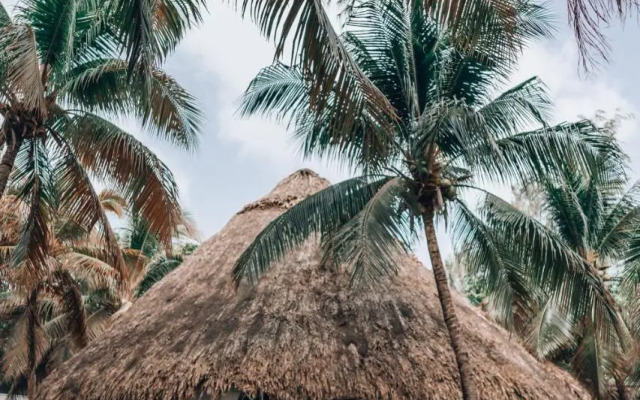 Thatch Caye Resort a Muy'Ono Resort