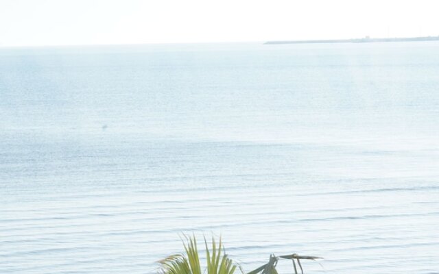 The Beachfront Apartment