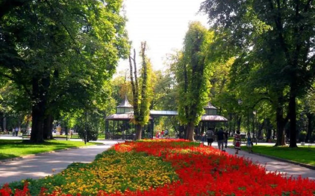 Sunflower Apartment City Center