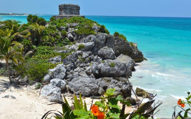 Hotel Banana Boutique & Spa by Paradise Hotels - 5th Av Playa del Carmen