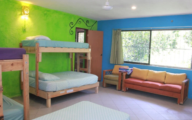 Mangrove Inn Akumal