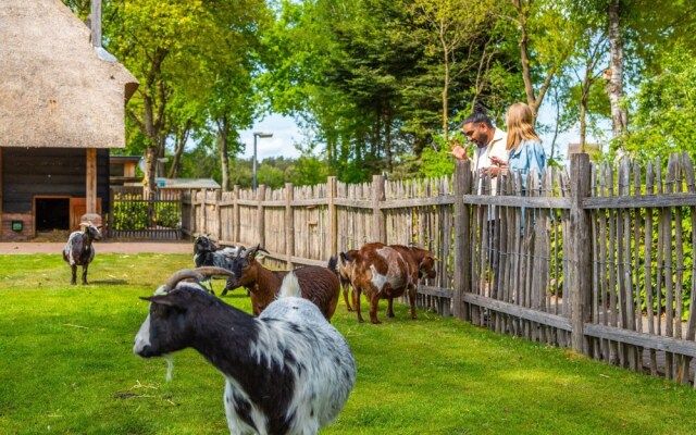 EuroParcs De Wije Werelt