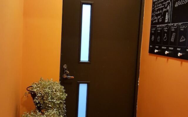 Chocolate hostel