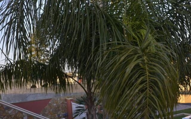 Il Carrubo del Salento