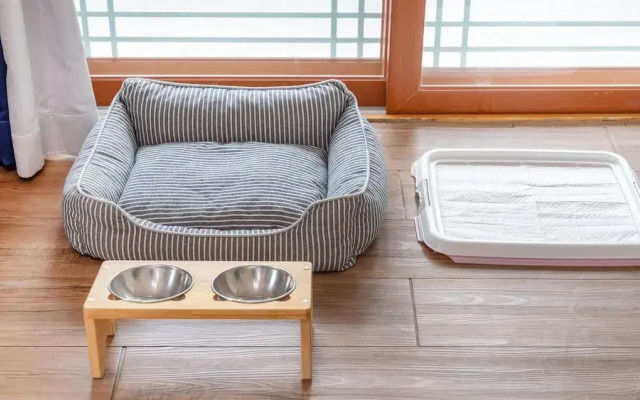 Gapyeong Highmong Pet-friendly Kids Pool