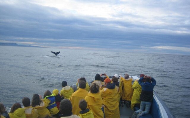 Le Meilleur des 2 mondes