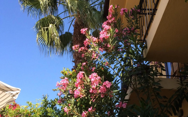 Villa DanLin Hotel - Boutique Class