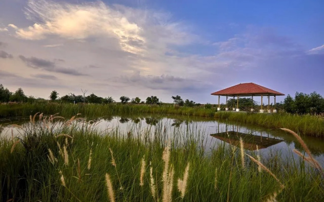 Blackbuck Safari Lodge Velavadar