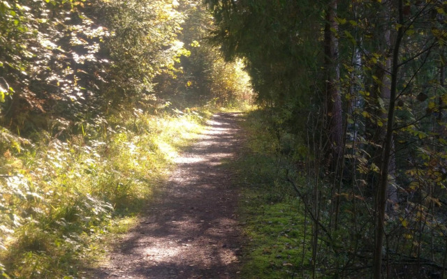 Pähkinäpuisto Apartments