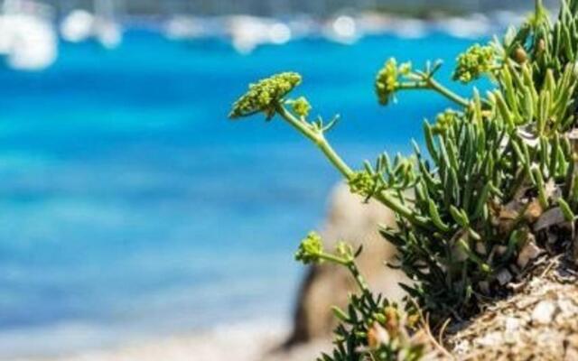 Appartement Le Lavandou, 1 pièce, 4 personnes - FR-1-251-269