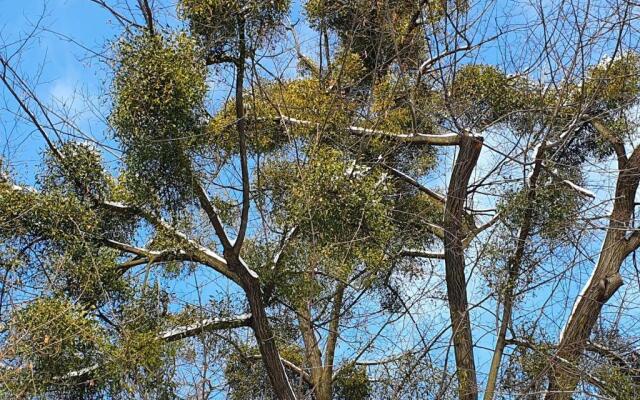 Apartamenty Magiczna Wenecja