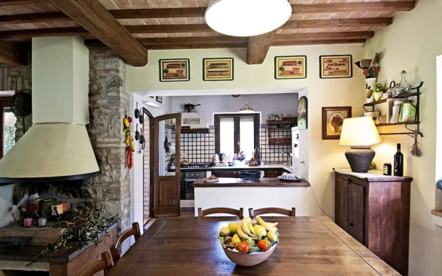 Casale Chimneys Immersed in Olive Trees