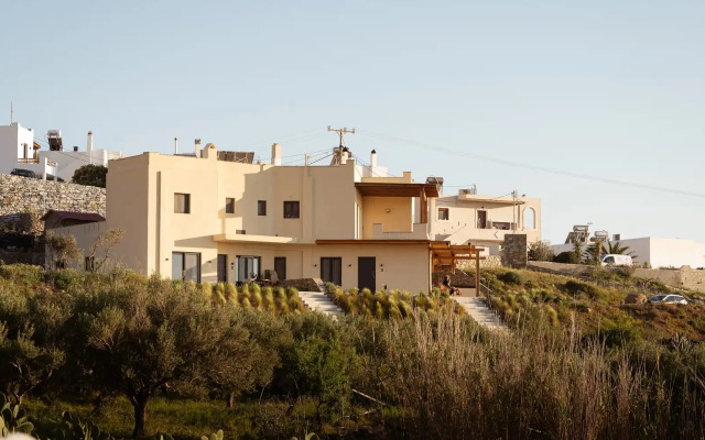 Opuntia Suites
