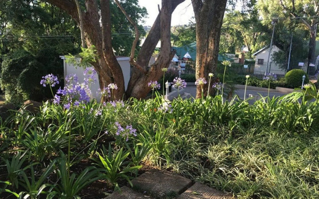 Peaches & Cream Bed & Breakfast