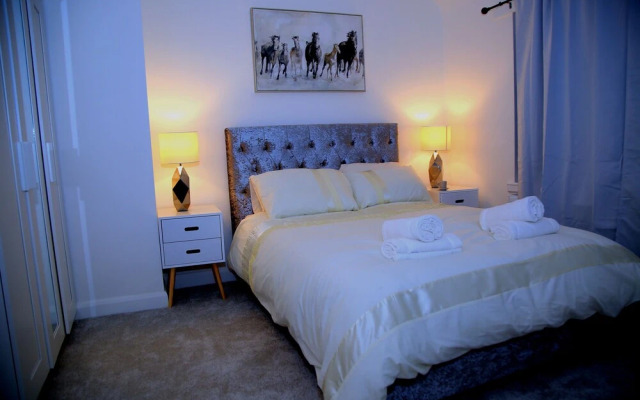 A Modern, Comfy Newly Remodeled 2bd House