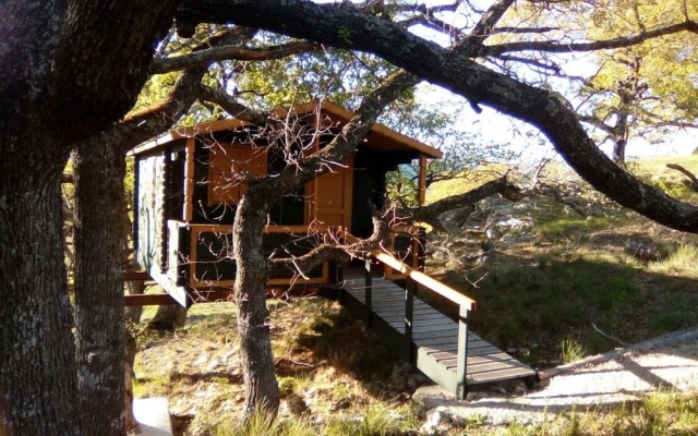 LES TRUFFIERS Cabane