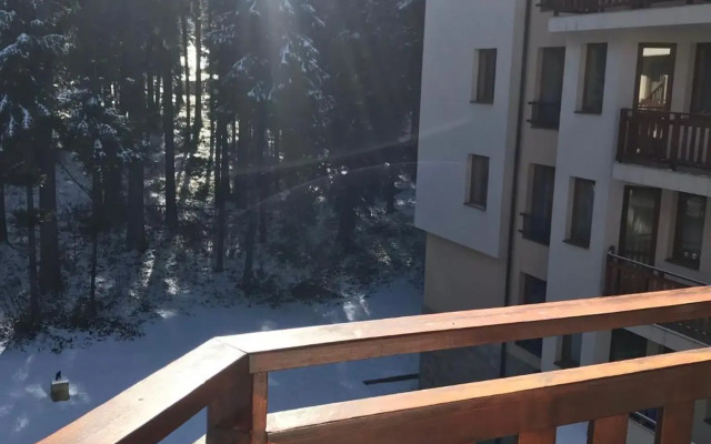 Villa Park Mountain Residence