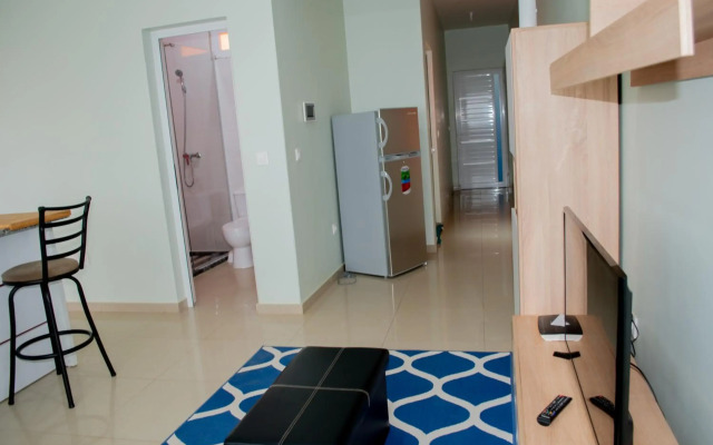 Comfortable cozy apartment