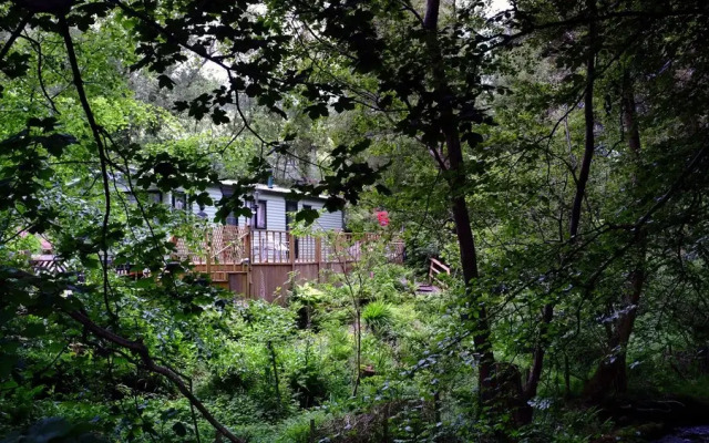Cringoed Holiday Park