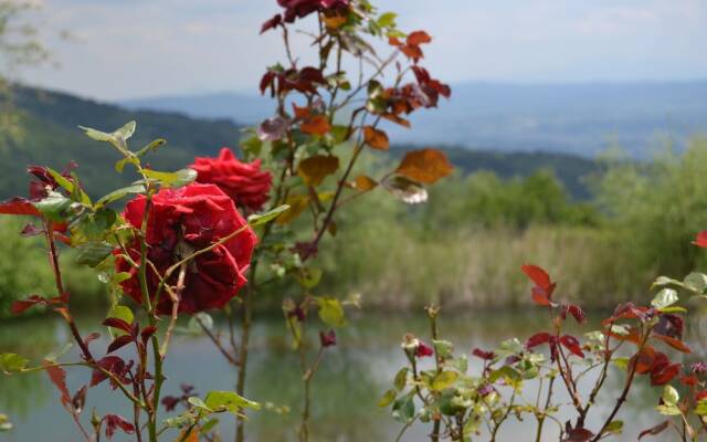 Two-room Charming Apartment in Tuscan Rustic Style
