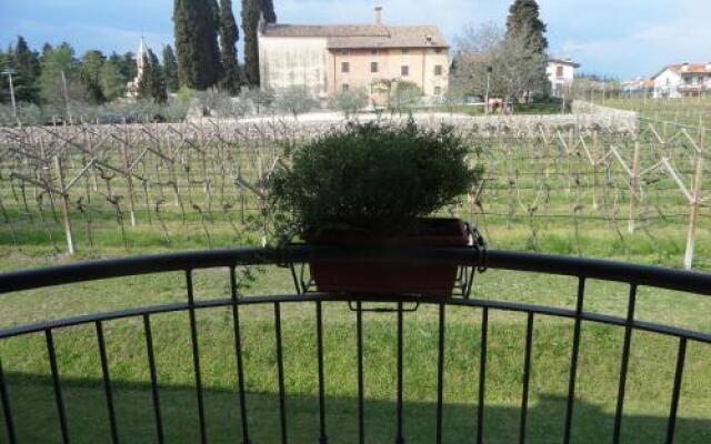 Agriturismo La Vigna