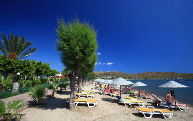 Отель Parkım Ayaz