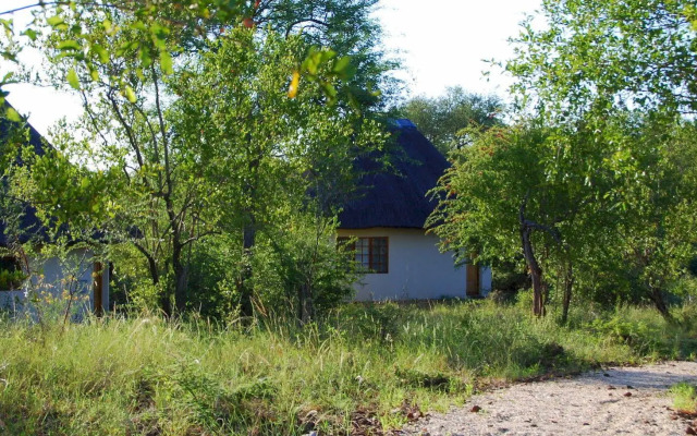 Mbizi Bush Lodge