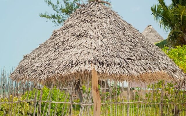 Bwejuu Beach Palm Villa