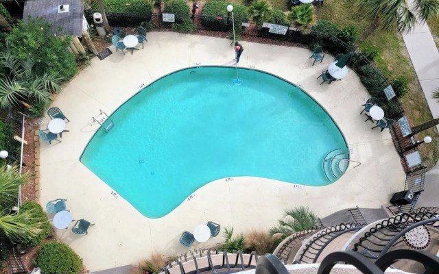 Palms Resort 501