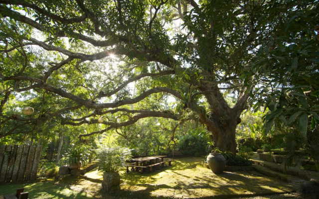 The Farm at San Benito