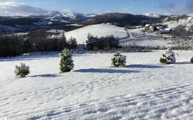Torran View