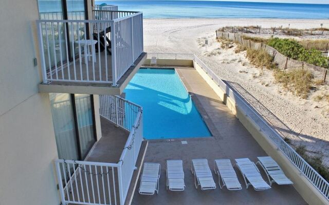 Whaler by Youngs Suncoast