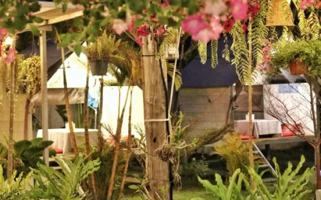 The Peace House