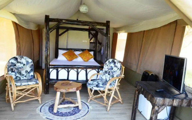 The Cradle Tented Camp