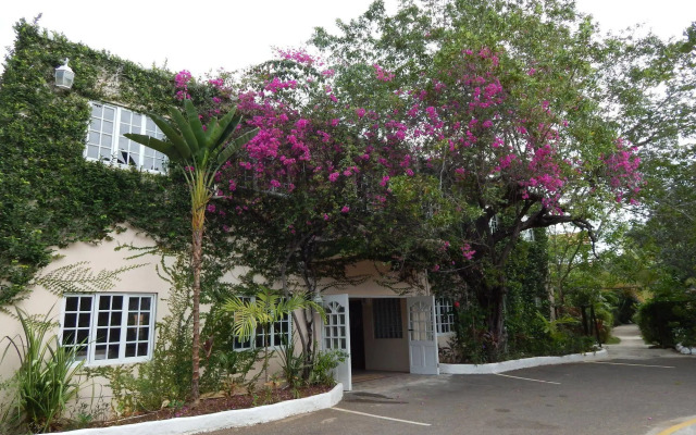 Mangos Boutique Beach Resort