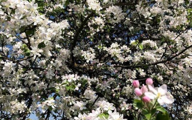 Skrunda Apartments Centrum