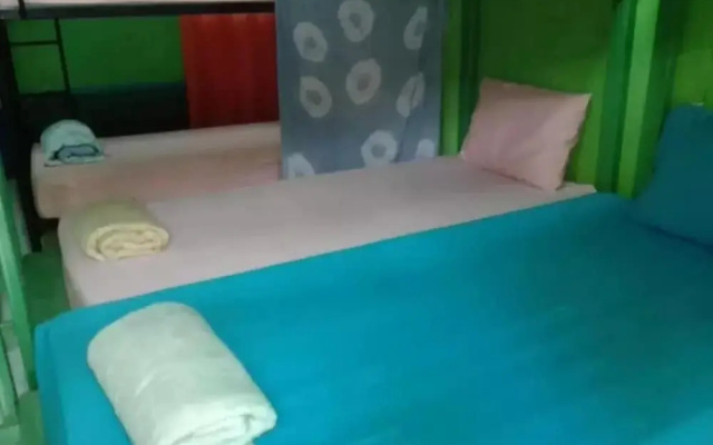 K & M House - Hostel
