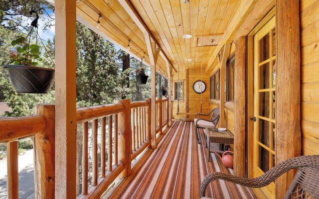 Polar Plunge BIG Bear #2031