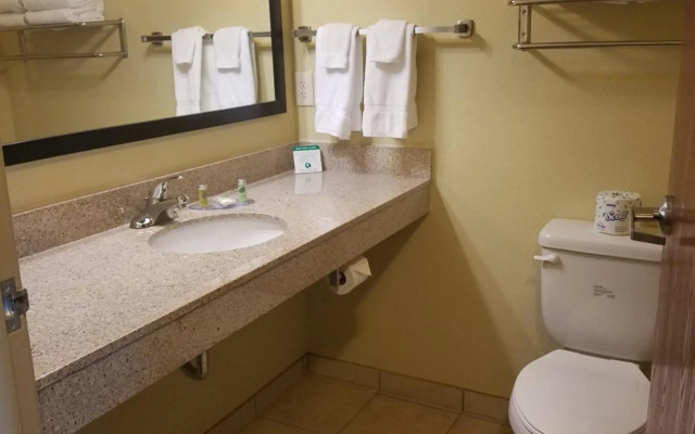 Cobblestone Inn & Suites - Bottineau