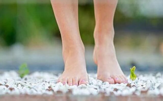 Landhotel Jann Hinsch Hof