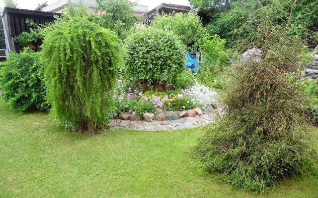 Zelta pirts Guest House
