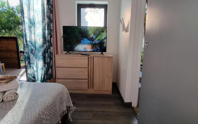 Le Palmier de la Paix