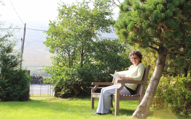 Snowdonia Mountain Lodge