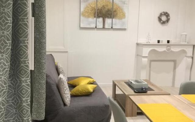 Charmant appartement T2 plein centre ville