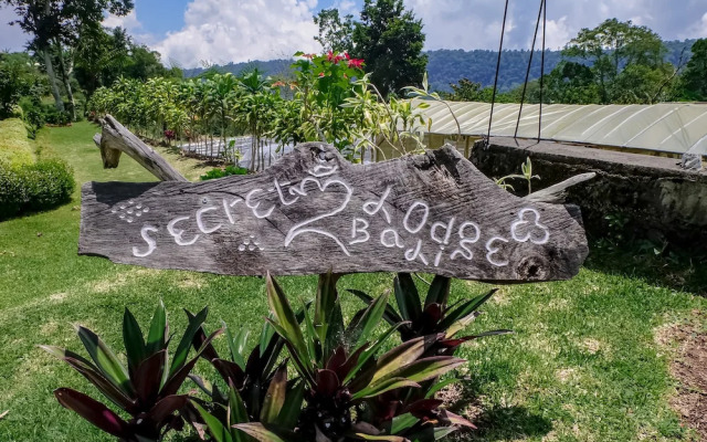 Secret Lodge Bedugul by Taritiya Collection